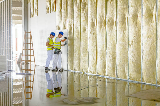 Professional Insulation in Hooverson Heights, WV